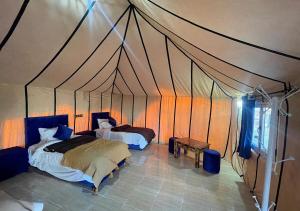 Magnificent Luxury Camp