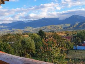 PENSIUNEA LEIA Transfăgărășan