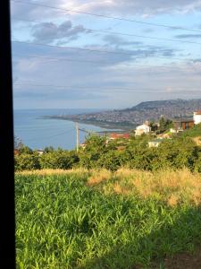 Trabzon Tosun Bungalov