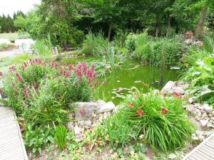 Maisons de vacances Gite tout confort avec grand jardin, cheminee, clim et WIFI, proche chateaux de la Loire et ZooParc de Beauval - FR-1-491-400 : photos des chambres