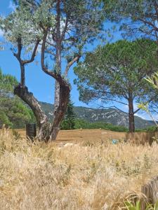Villas GITE Mourezeva : Maisonnette