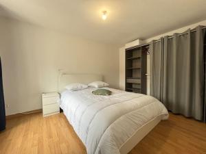 Appart du Bourg 2 chambres Olivet Centre