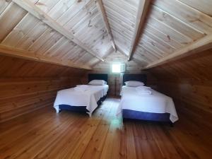 Adrasan Eren Apart evleri