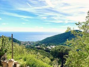 Maison d Americain a Figarella au Cap Corse