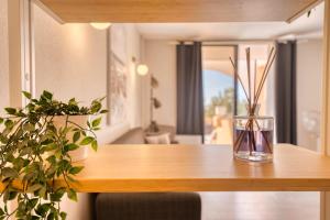 Estudio con terraza y vistas espectaculares OV302