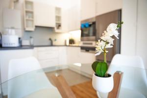 Trendy Apartment zentral gelegen