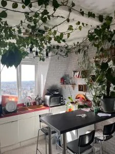 Beau studio à Fontenay sous bois - فونتناي سو بوا