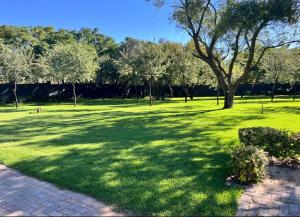 No 6 On Cladon # Jadde Apartments