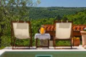 Beautiful Villa Cartolina with pool in Buje - Bijele Zemlje