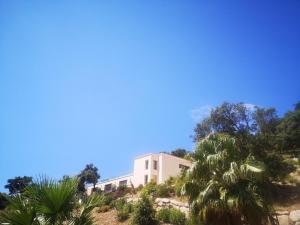 B&B / Chambres d'hotes Villa l’ecrin du Rayol : photos des chambres