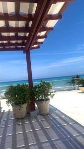 B3 beautiful ocean view penthouse - Ocean Front