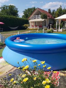 Cabana Casuta din Vis