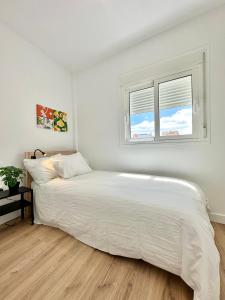 Seashell Serene Escape