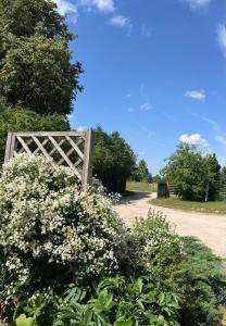 Viesu nams Vālodzes