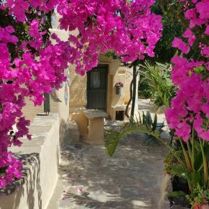Anthippi Paros Greece