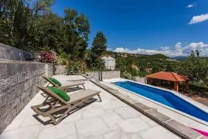 Apartment Ana with private pool - Udovičić