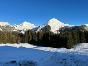 Appartements Studio au coeur du Praz-de-Lys - Les Pralyssimes : photos des chambres