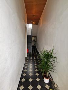 Cozy city centre room with parkview