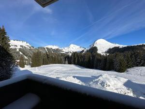 Appartements Studio au coeur du Praz-de-Lys - Les Pralyssimes : photos des chambres