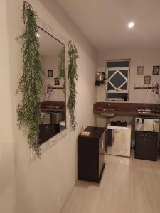 Local aconchegante central