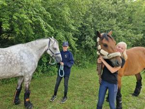 B&B / Chambres d'hotes Ferme equestre & Chambres d'hotes Gateau Stables proche Guedelon : photos des chambres