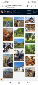 B&B / Chambres d'hotes Ferme equestre & Chambres d'hotes Gateau Stables proche Guedelon : photos des chambres