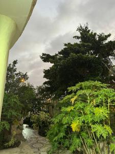 AlAryam AlSaadah House