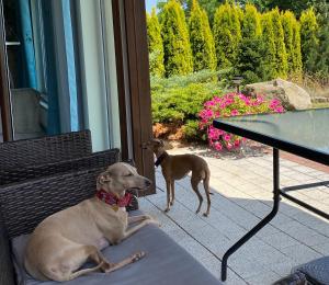 Słoneczne Apartamenty Polanica-Zdrój