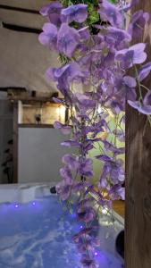 Maisons de vacances Gite du Domaine de la Verrerie : photos des chambres
