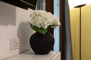 Dea Fortuna Loft