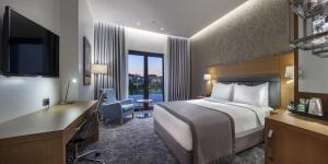 Queen Room - Non-Smoking room in Holiday Inn Istanbul - Tuzla Bay
