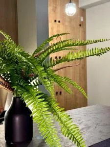 Cozy Apartment for a pleasant trip - Avchala