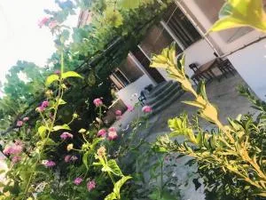 Alesio House - Zervati