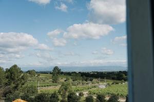 Maisons de vacances Gite Familial au coeur des vignes : photos des chambres