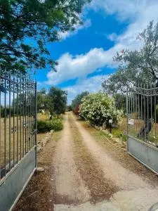 Apple House - San Pasquale