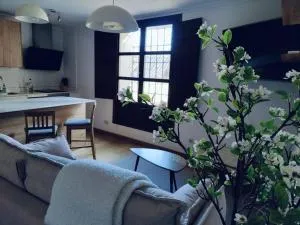 Apartamento Palacio de los Burgo - Albares