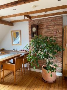 Charmante Altbauwohnung in perfekter Lage