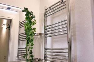 La tua casa Senza Pensieri