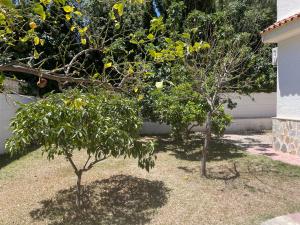 Villa con piscina a 5 min a pie de la playa y Pau5