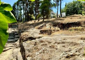 Charming Villa for nature lovers in Theotoky Estate Vineyard and olive mill