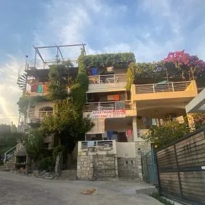 Apartments Vretenicic - 维利波吉