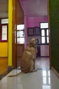 Annapurna Homestay - Shivāpur