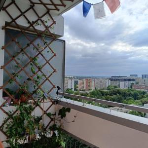 Wrocławski Manhattan