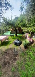 La fatina Lodge