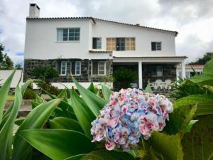 Ocean View Villa Retreat Quinta do Sol