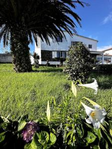 Ocean View Villa Retreat Quinta do Sol