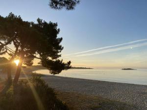 Appartements 3 pieces 68m², jardin clos, 150m plage, wifi : photos des chambres
