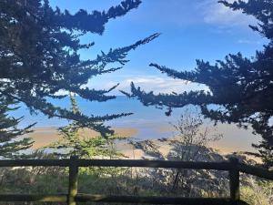 Appartements Charmant T3 lumineux a 2 pas des plages Appart 5 : photos des chambres