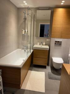 Cozy stylish spacious flat
