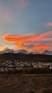 Temporales Ushuaia - Orquídea Austral